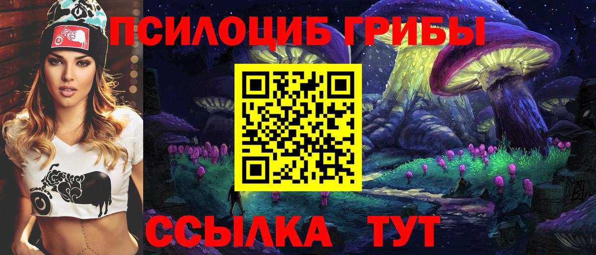 Шелехов  Галлюциногенные грибы Magic Shrooms  где можно купить наркотик  Вход с VPN  Галлюциногенные грибы мухоморы 